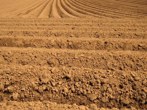 field arable furrow