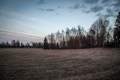 field dark landscape