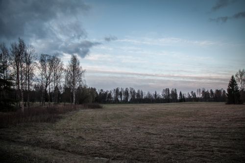 field dark landscape