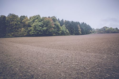 field arable landscape