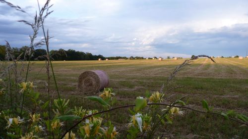 field sky haystack