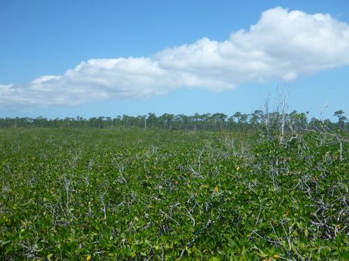 field sky meadow