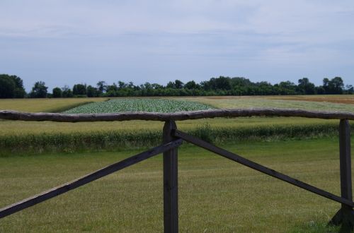 field fence wooden
