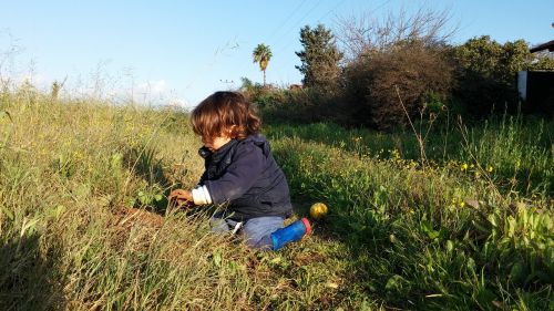 field boy child