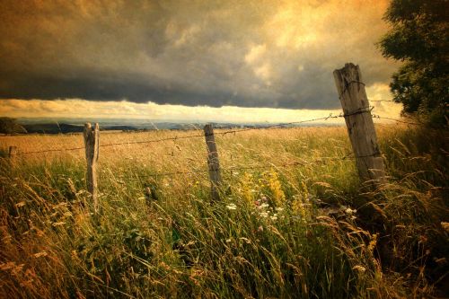 field sky france