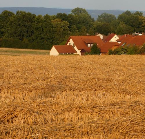 field homes arable