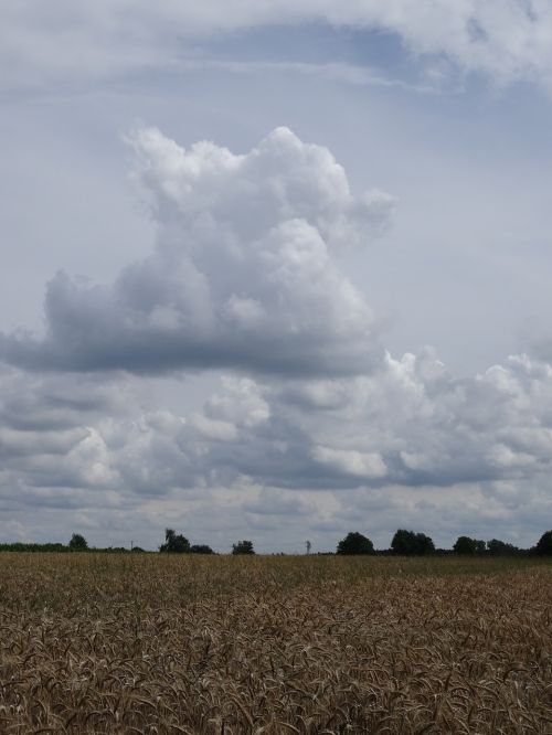 field clouds clouds mountains