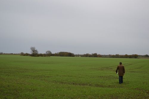 field landscape rural