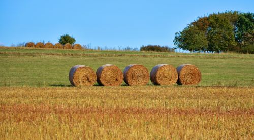 field agriculture straw bales