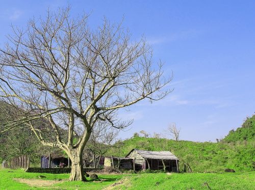 field cottage landscape