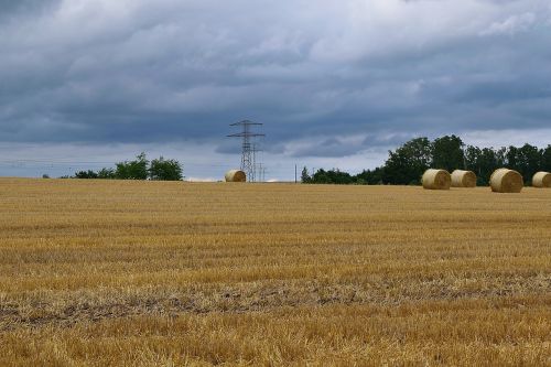 field power line sky