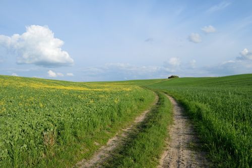 field road agriculture