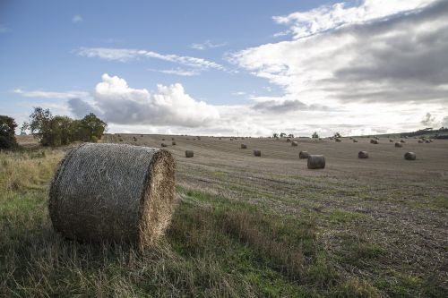 field uk scotland