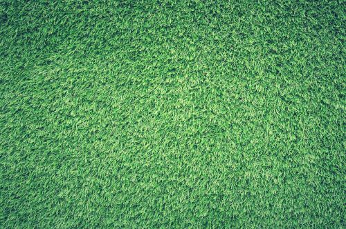 field grass green