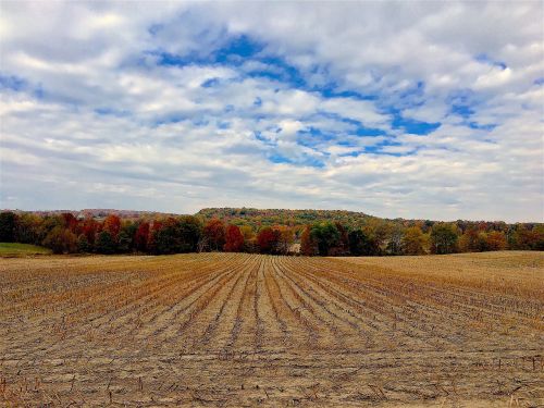 field fall colors