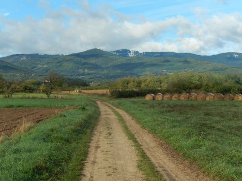 field path outdoor activities