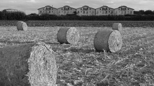 field straw bales campaign