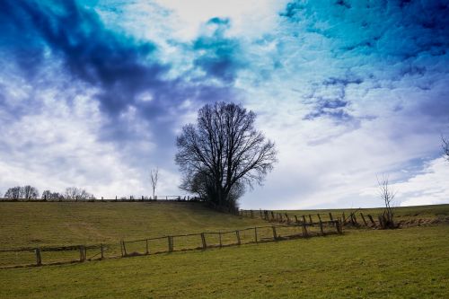 field sky tree