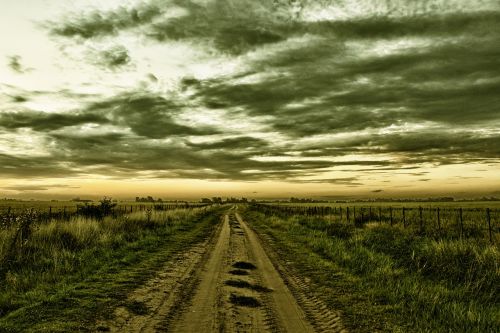 field rural rural road