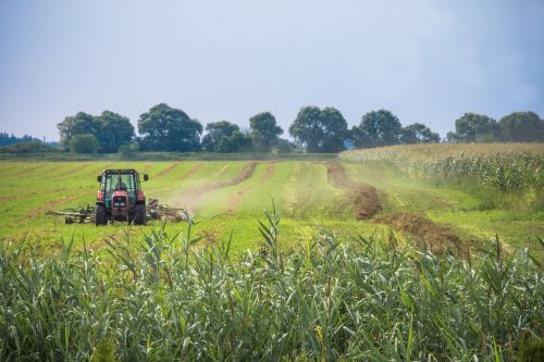 field trav nature