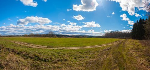 field nature meadow