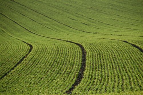 field agriculture lines