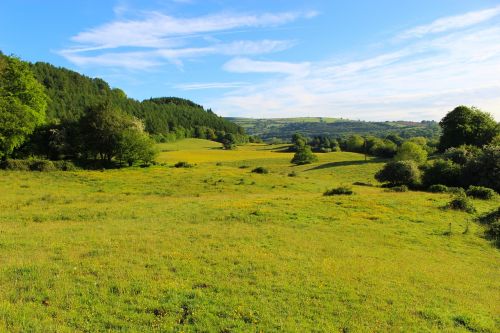 field nature countryside