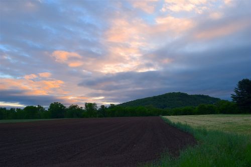 field sunrise farm