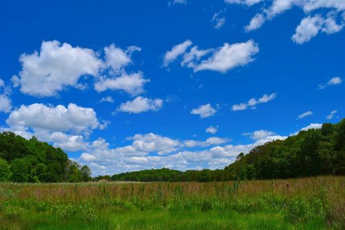field clouds sky