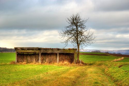 field meadow scale