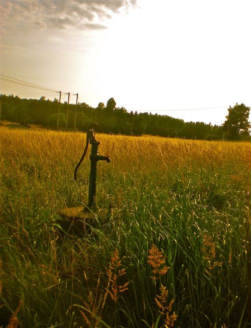 field grass well