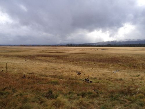 field rain landscape
