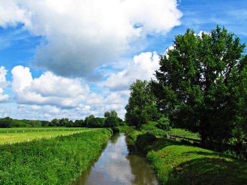 field meadow nature