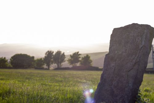 field nature outdoor