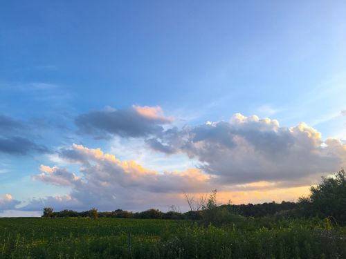 field farm sunset