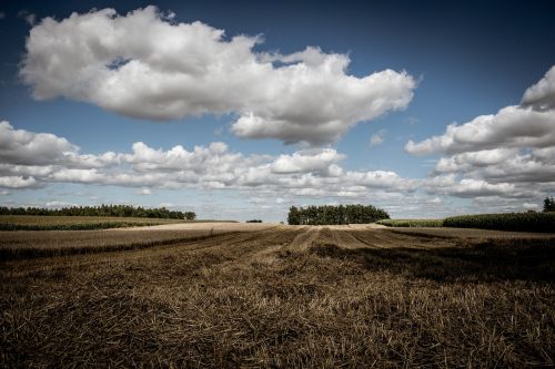 field clouds landscape