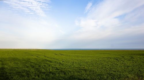 field sea sky