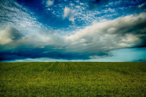 field sky countryside