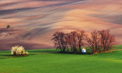 field chapel spring