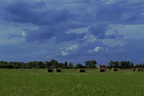 field hay clouds