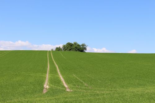 field fields denmark