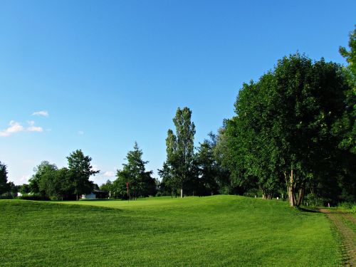 field meadow green