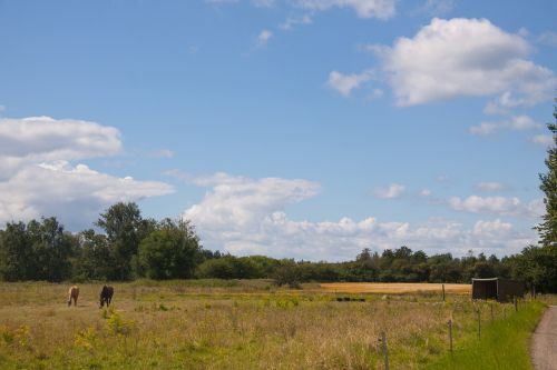 field blue sky clouds