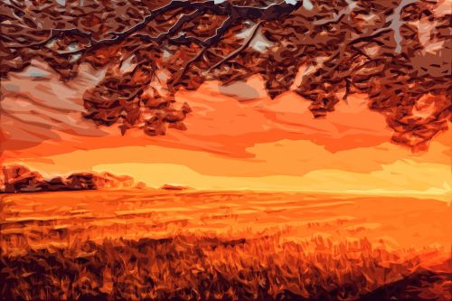 field sunset orange