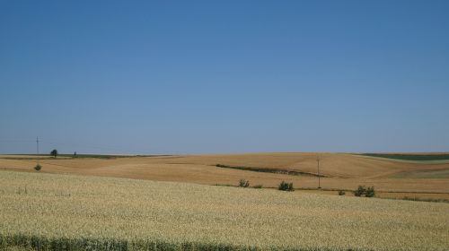 field summer view