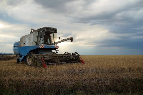 field harvester crop