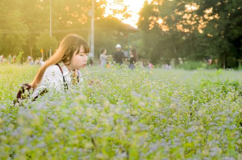 field girl flower