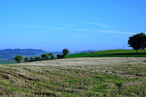 field meadow emmingen