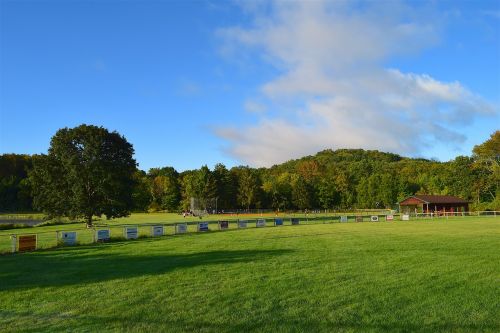 field sunrise green