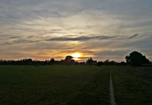 field meadow landscape